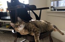 开云体育-东决关键战之夜，莱奥完成自我救赎，黑暗中的星光终成燎原之火