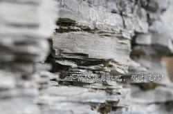 开云体育中国-战术风暴与个人传奇，老鹰如何用空中囚笼锁死步行者，库里又如何用数据重写统治定义