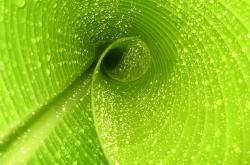 开云平台-拉亚惊艳爆发引领洪都拉斯连击得分，全面压制爱尔兰取得关键胜利