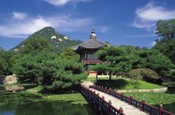 开云体育官方网站-猛龙断崖式攻防打懵绿军，米切尔生涯之夜刷新里程碑