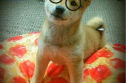 开云下载-巴西击败苏格兰，NBA总决赛焦点战中的国际篮球风暴