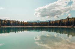 开云体育入口-关键先生浴血重燃！活塞冲垮步行者，莫兰特斩获生涯夜
