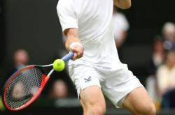 开云官网-澳网翻盘拉沃尔杯，穆雷惊艳四座