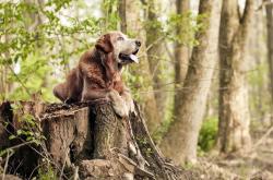 开云体育入口-欧冠决赛焦点战激情回顾，土耳其足球风暴冲垮巴拉圭