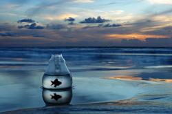 开云体育APP下载-篮球双城记，爵士力克灰熊展韧性，加索尔西甲德比显传奇