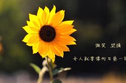 开云体育官方网站-保罗44+9+5统治攻防！上海男篮客场打穿辽宁，总比分扳成1-1