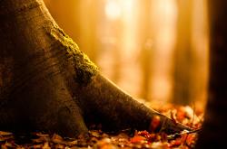 开云体育-欧冠决赛夜，弗拉霍维奇封神