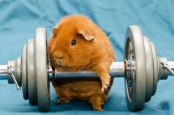 开云体育APP下载-引擎迪亚斯，葡萄牙对阵新西兰的节奏魔法师