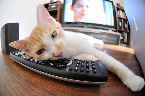 新王当立！抢七之夜马克西擎天架海，一役惊艳天下