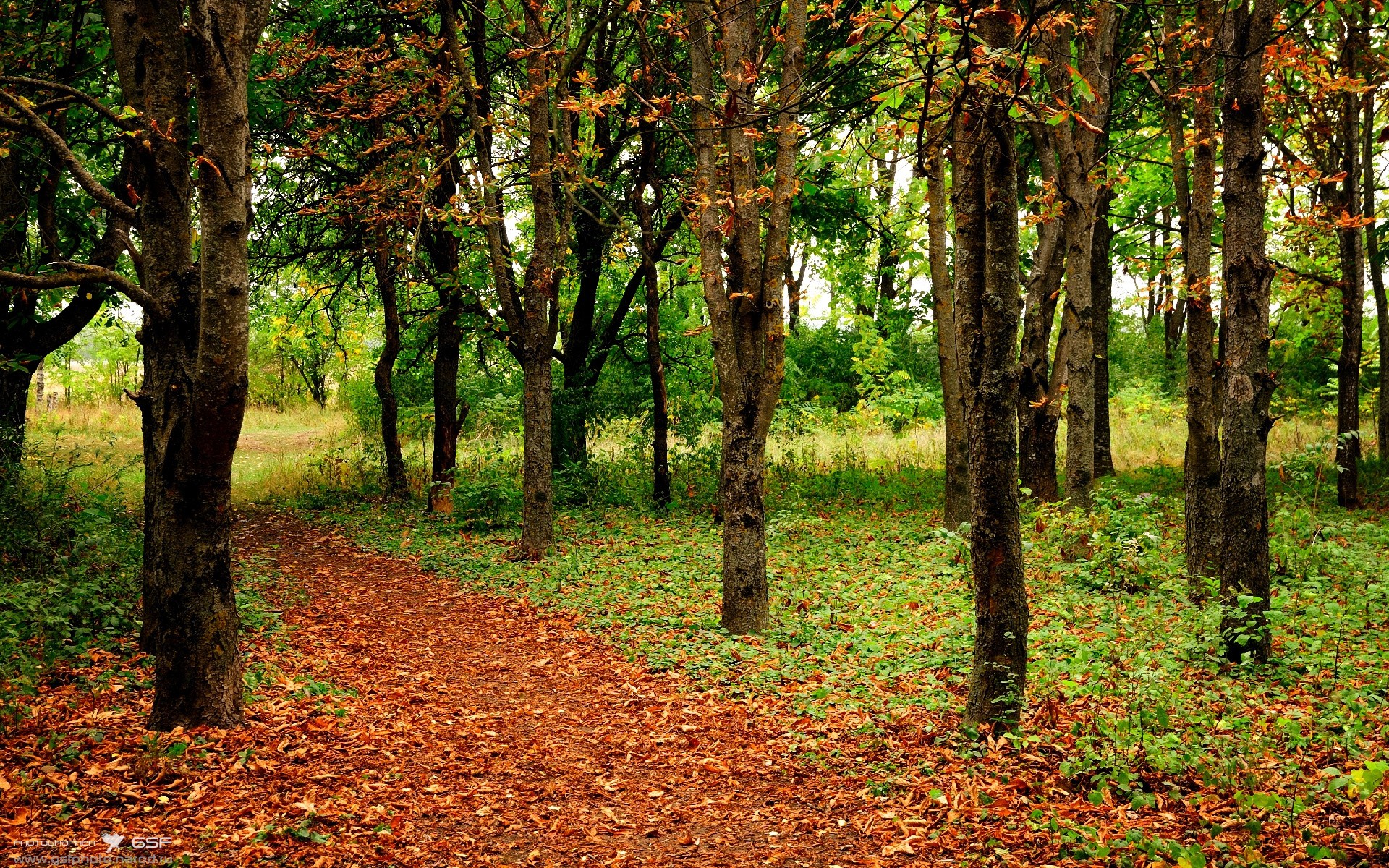 铁血突围，步行者西决生死战力克马刺，时隔十年再进总决赛
