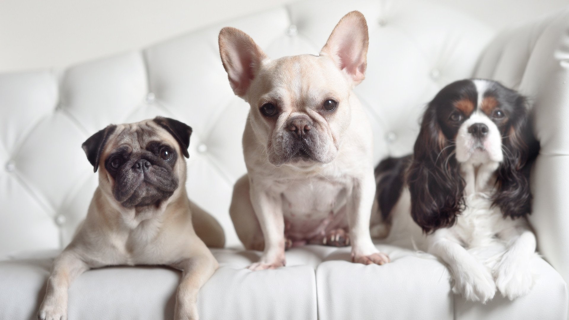 血战阿拉莫,现代版奇才马刺对攻启示录—米切尔,那个决定天平倾斜的人