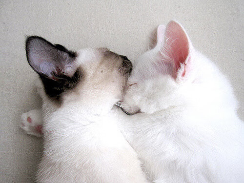 拉文里程碑之夜沦为背景板,奇才团队防守胜过个人英雄主义