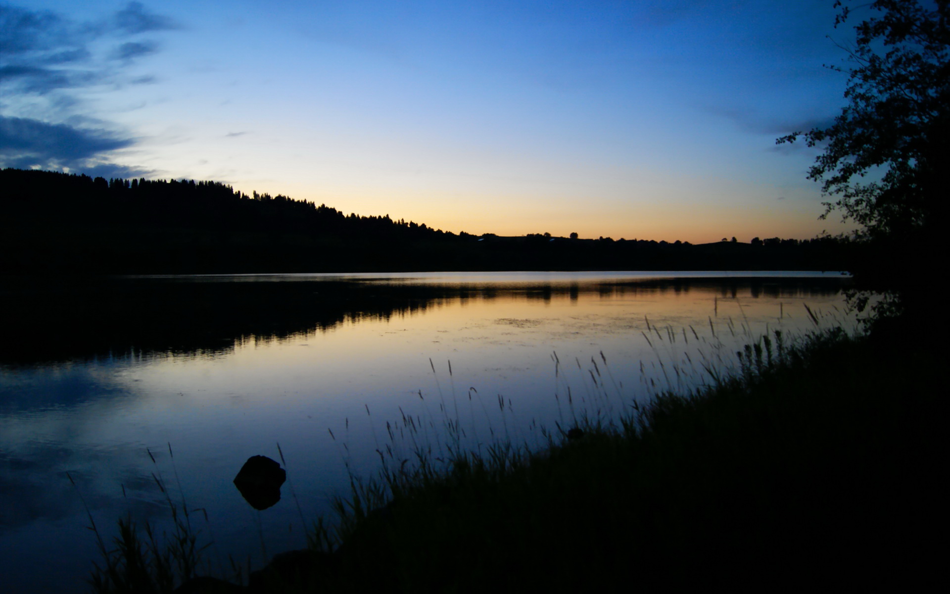 威尔士战术压制阿尔及利亚,厄德高硬仗之王的足球启示录