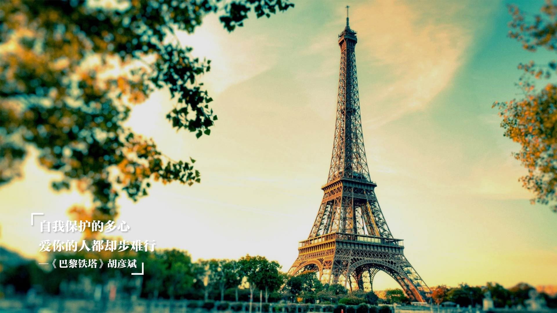 勇士力克灰熊，新星文班亚马闪耀全场