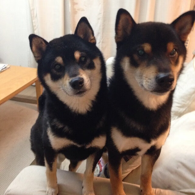 李刚仁火力全开,塞维利亚二队奇迹般踏平五星巴西