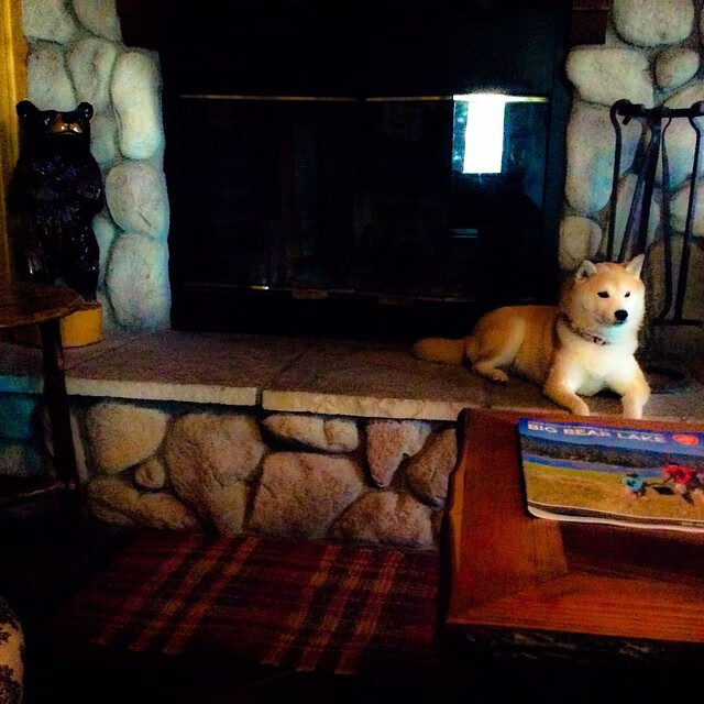 引擎轰鸣与地板震动,F1新赛季揭幕战与开拓者硬仗取胜的双重奏