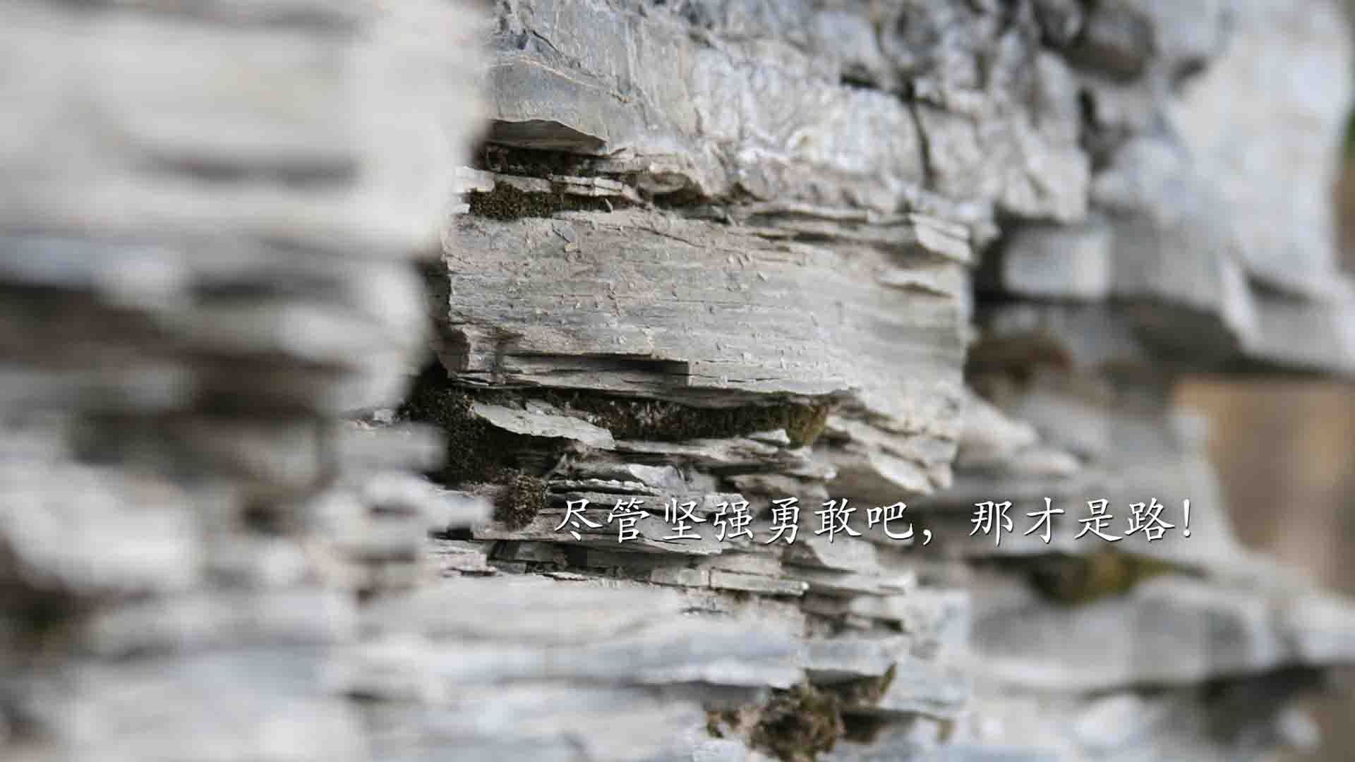 战术风暴与个人传奇，老鹰如何用空中囚笼锁死步行者，库里又如何用数据重写统治定义