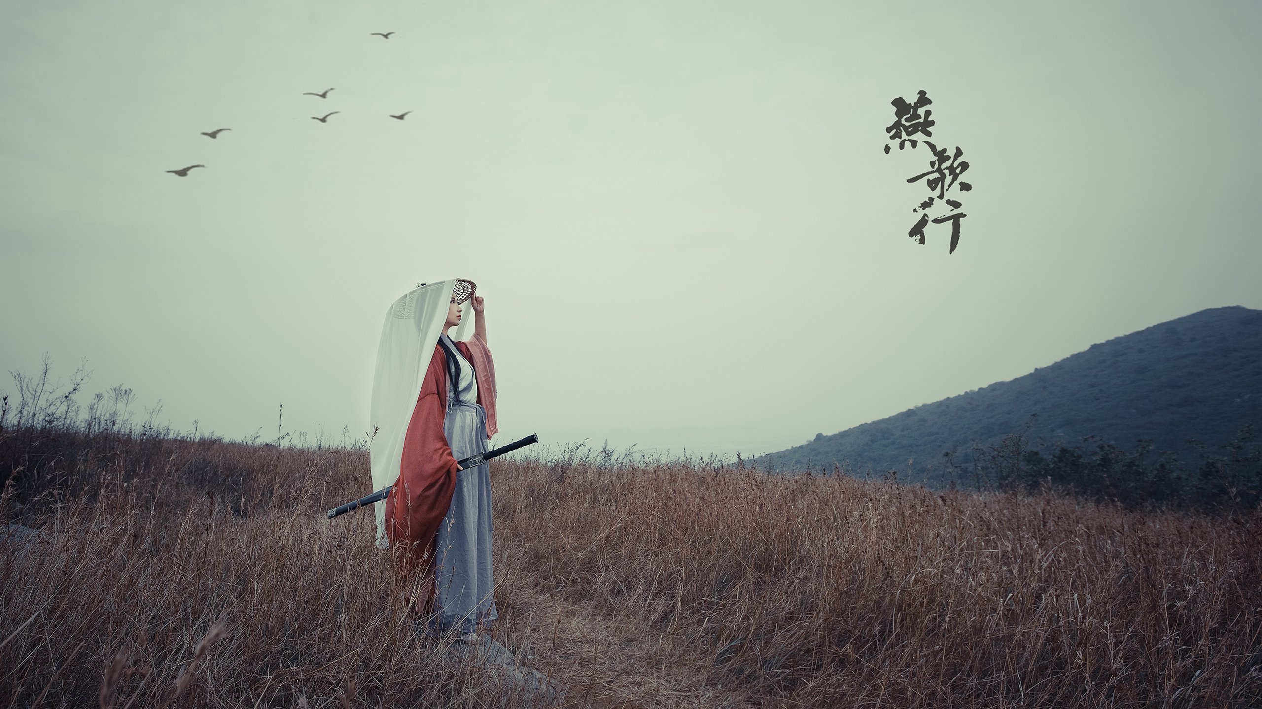 绝杀洪都拉斯！阿尔瓦雷斯一球主宰爱尔兰命运