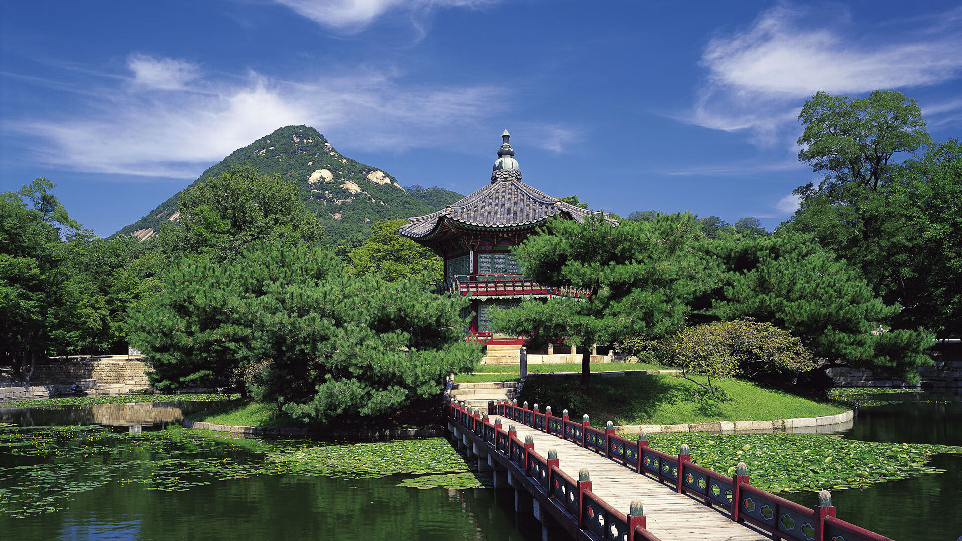 猛龙断崖式攻防打懵绿军,米切尔生涯之夜刷新里程碑