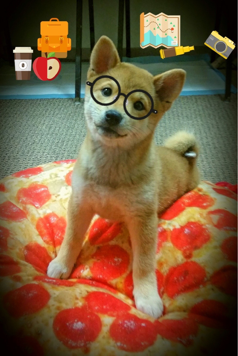 巴西击败苏格兰,NBA总决赛焦点战中的国际篮球风暴