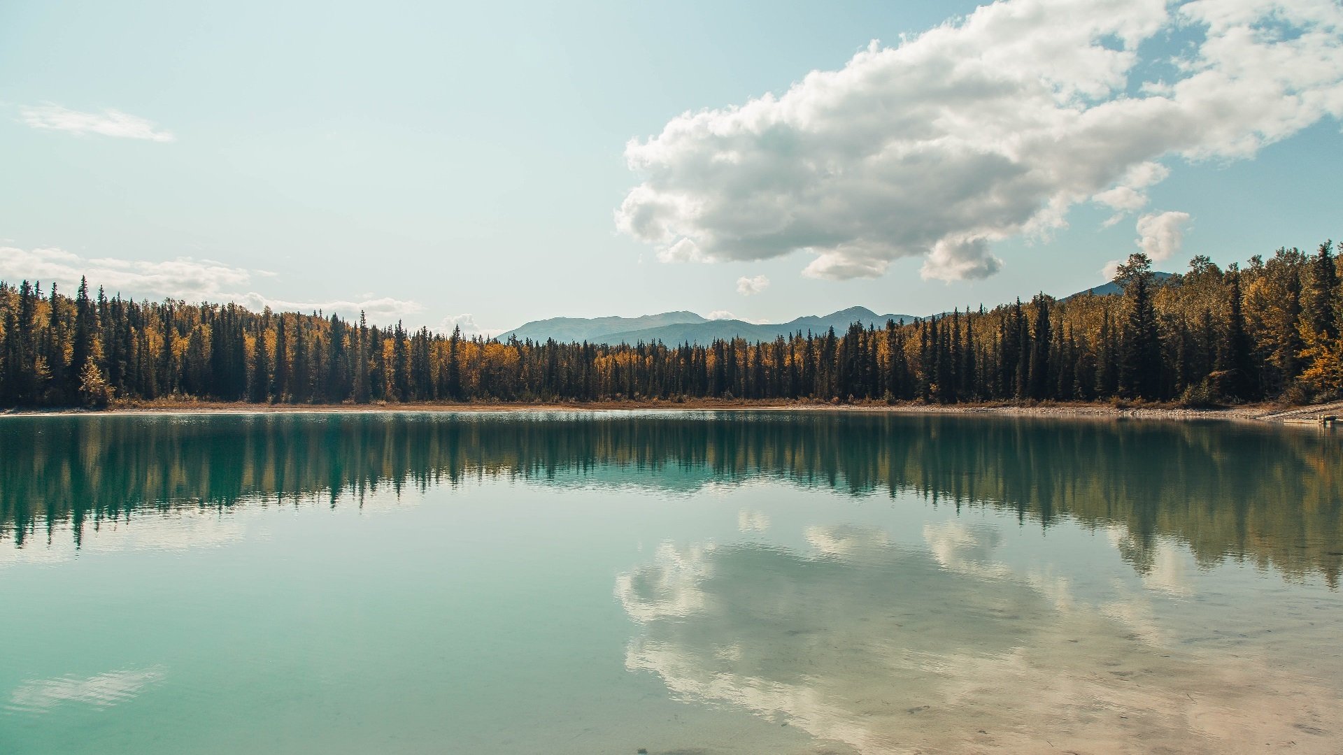 关键先生浴血重燃！活塞冲垮步行者，莫兰特斩获生涯夜